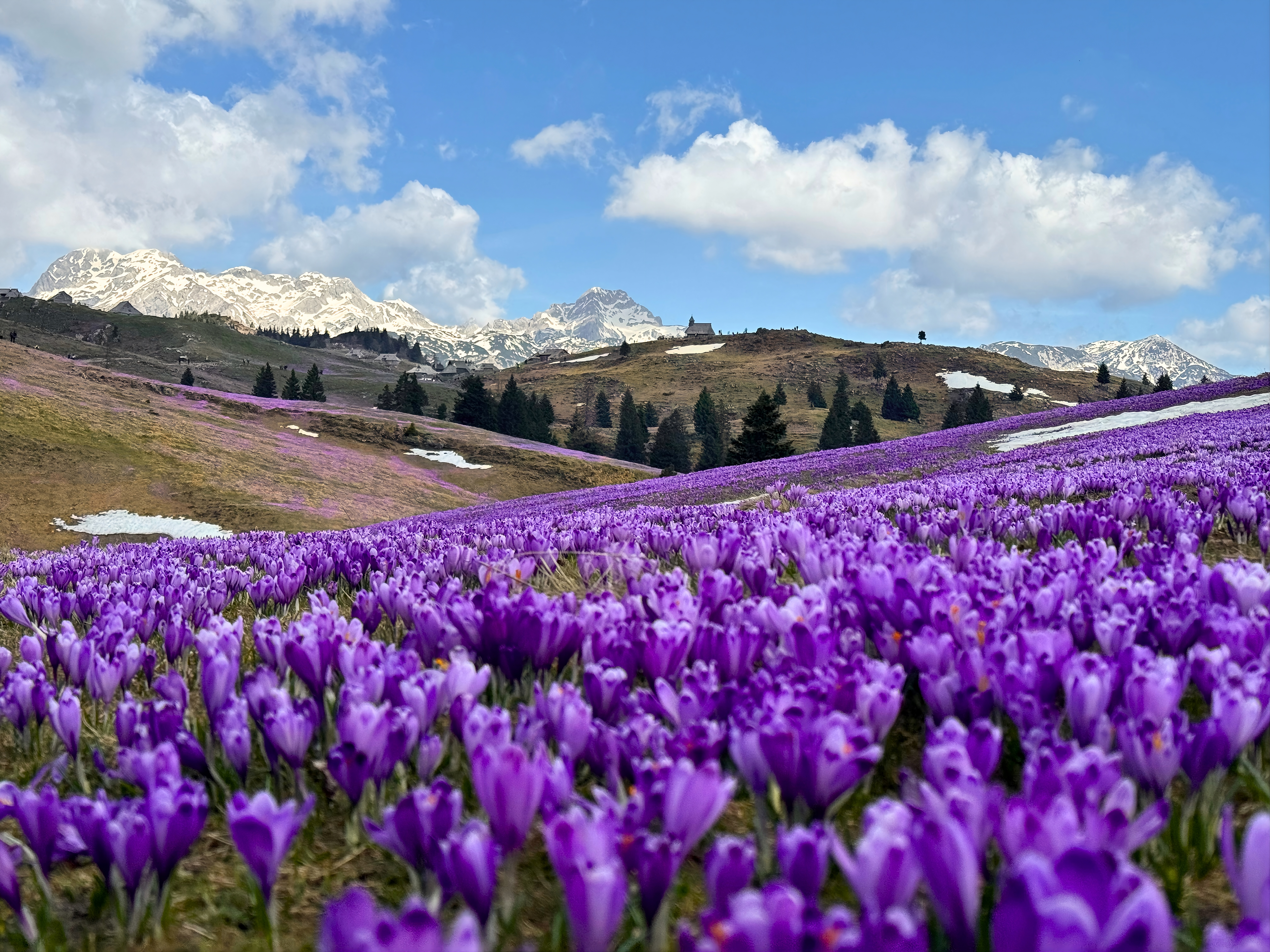 velika planina popr